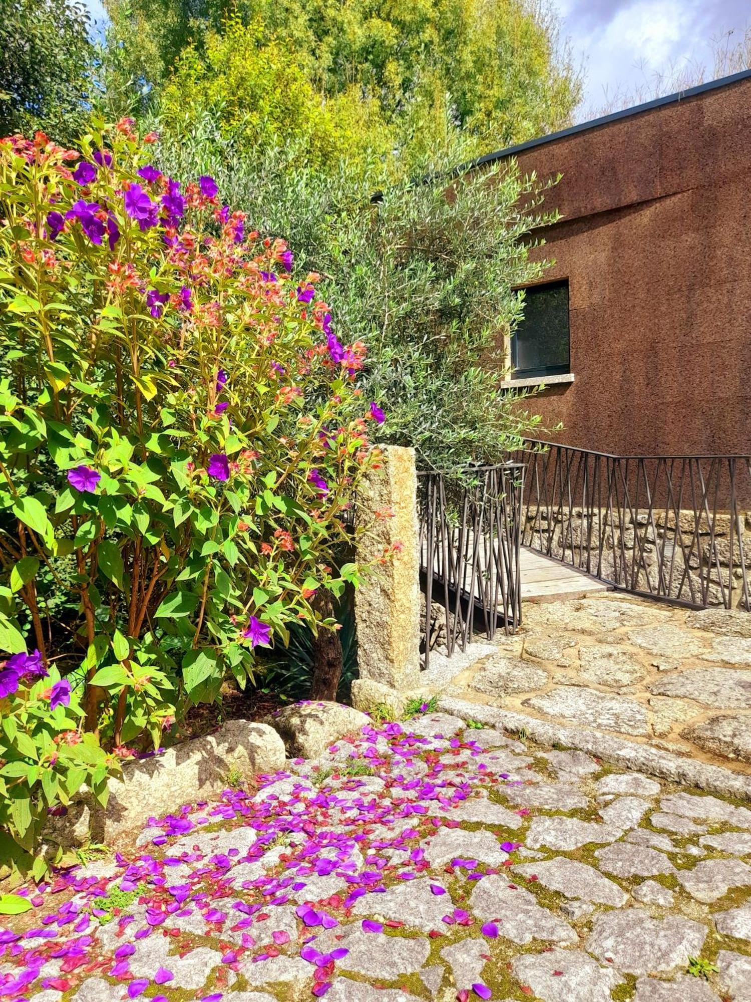 Willa Moinhos Carvalhas Arcos de Valdevez Zewnętrze zdjęcie